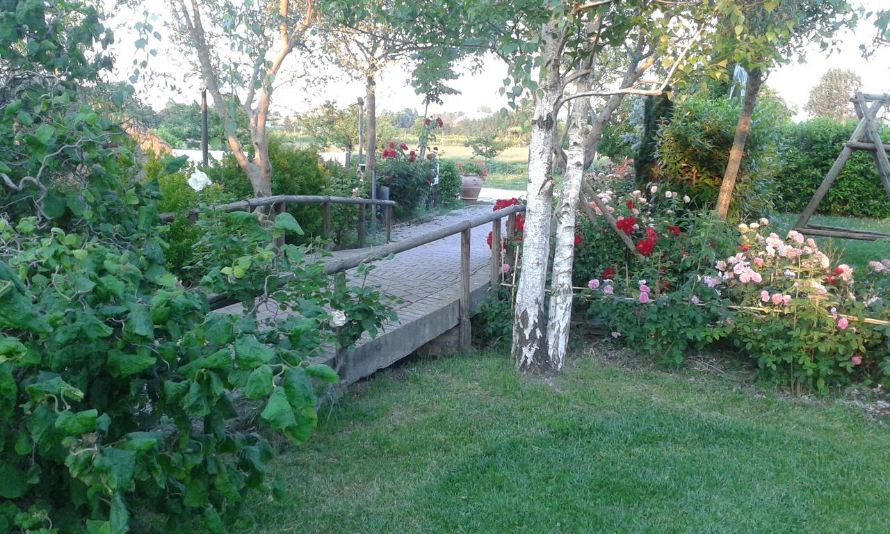 Fattoria Belvedere Bellaria-Igea Marina Luaran gambar