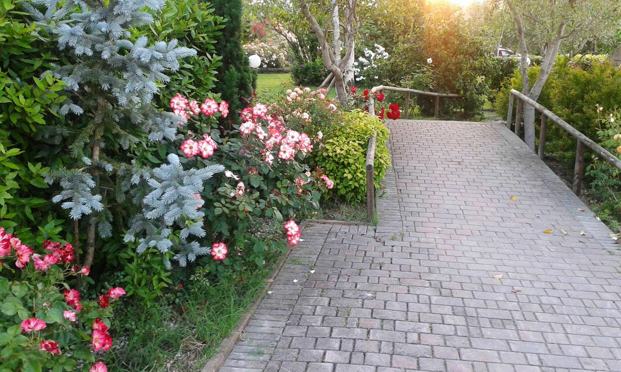 Fattoria Belvedere Bellaria-Igea Marina Luaran gambar