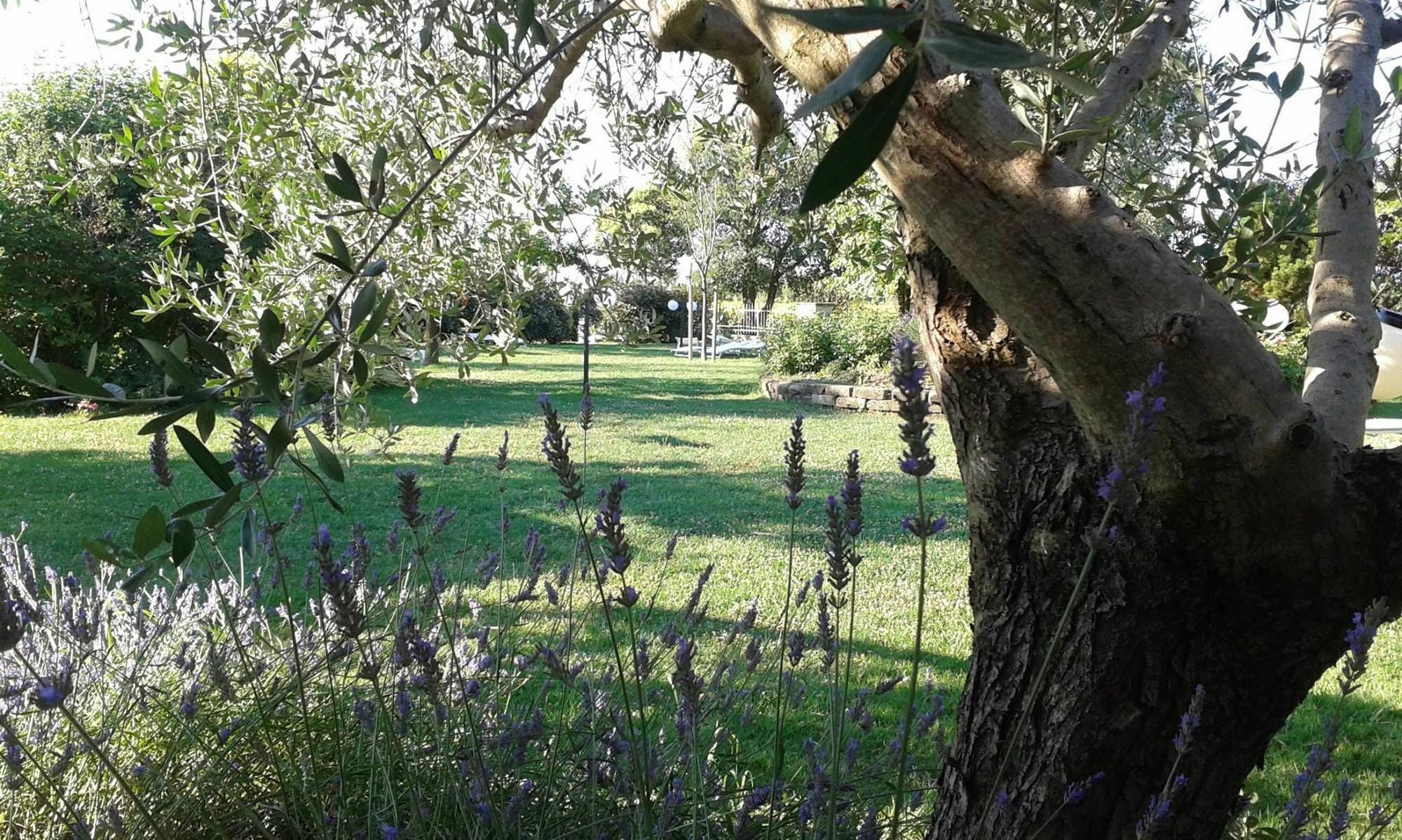 Fattoria Belvedere Bellaria-Igea Marina Luaran gambar