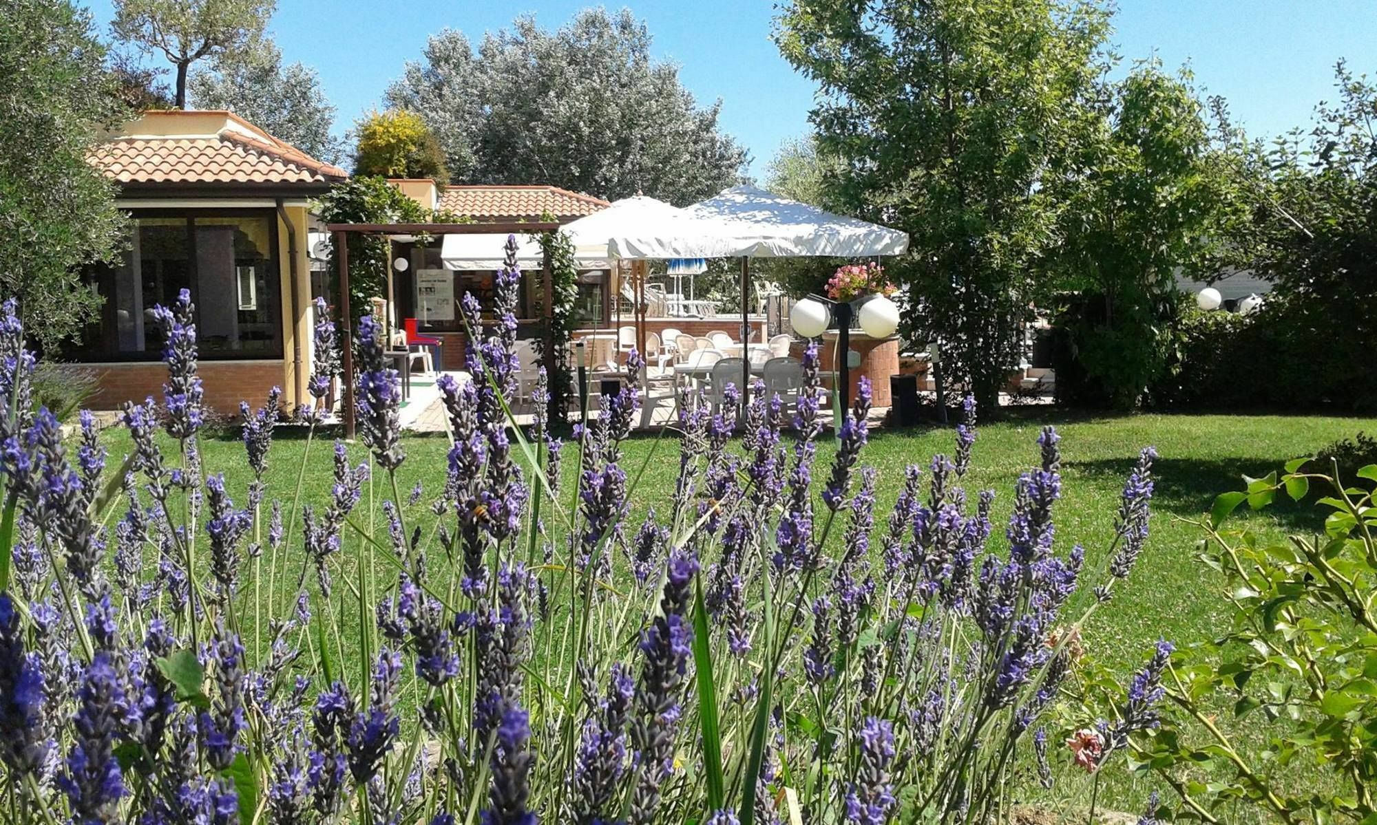 Fattoria Belvedere Bellaria-Igea Marina Luaran gambar