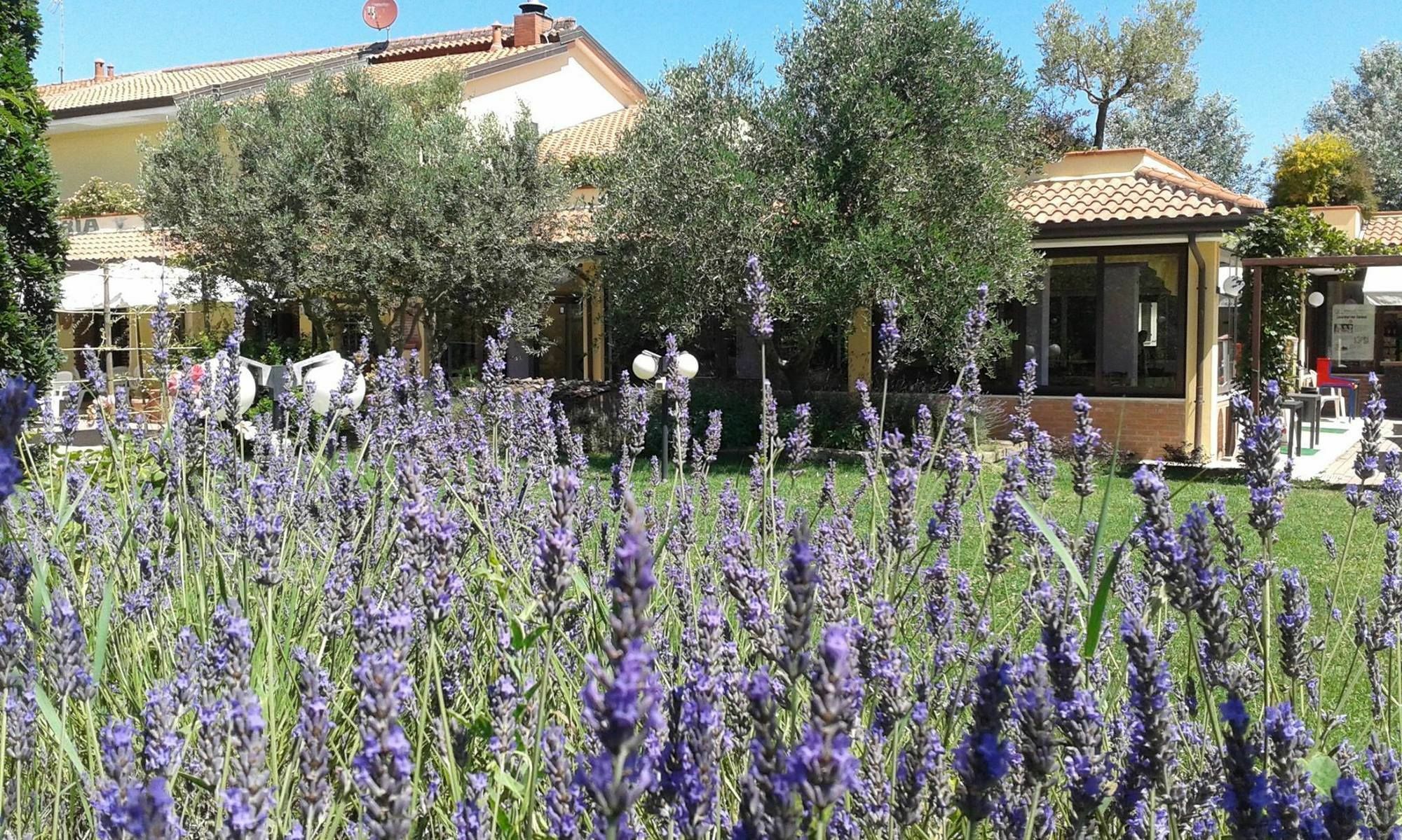 Fattoria Belvedere Bellaria-Igea Marina Luaran gambar